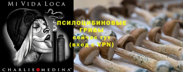 ECSTASY Белокуриха