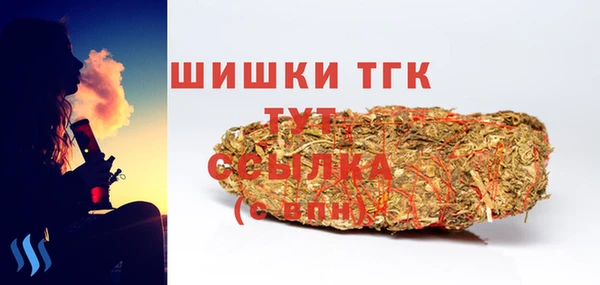 ECSTASY Белокуриха
