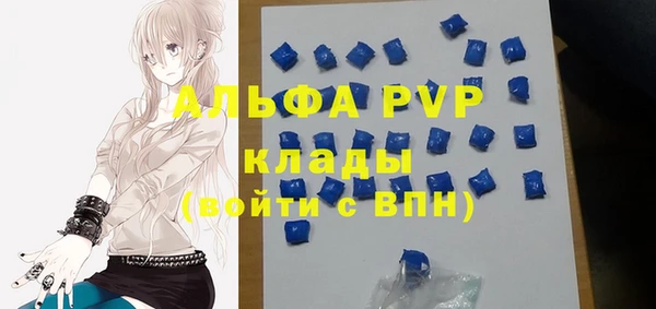 ECSTASY Белокуриха