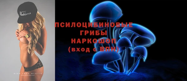 ECSTASY Белокуриха