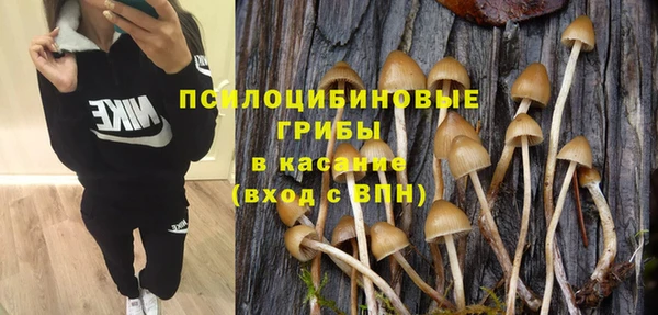 ECSTASY Белокуриха