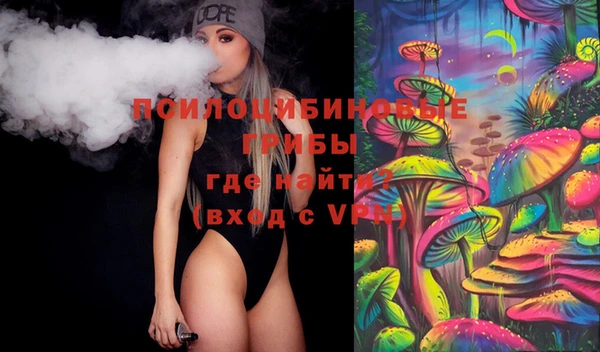 ECSTASY Белокуриха