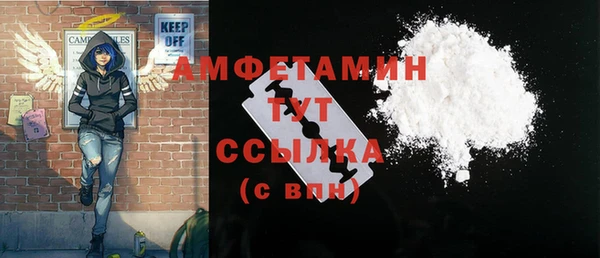 гашик Сосновый Бор
